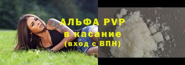 стаф Магас