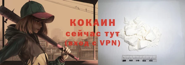 стаф Магас