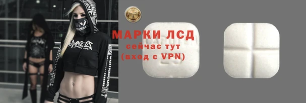 стаф Магас