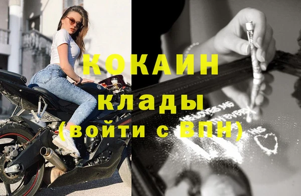 стаф Магас