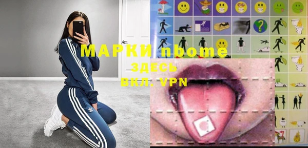 стаф Магас